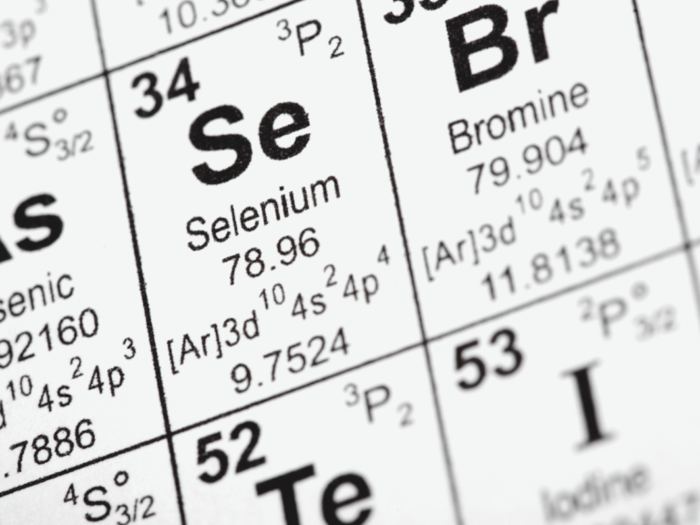 Selenium and the Carnivore Diet